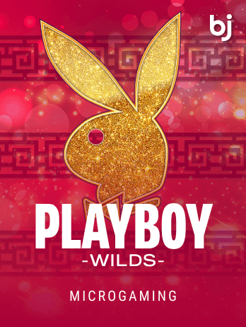 Playboy Wildspng game cover