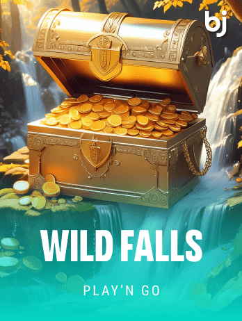 Wild Falls game cover